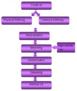 vegetable oil refining plant