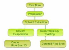 manufacturing process of rice bran oil