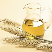 wheat germ oil extraction