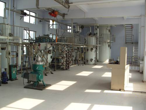 palm oil milling process plant