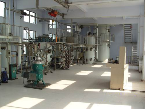 palm oil production line