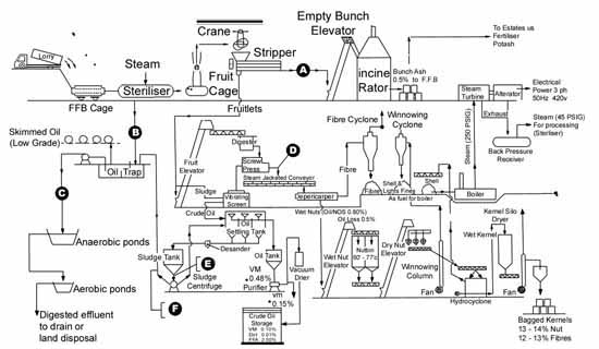process of palm oil solvent extraction plant