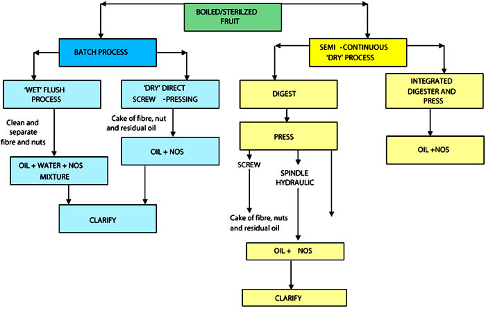 palm oil milling process