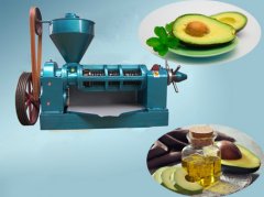 Avocado Oil Press Machine
