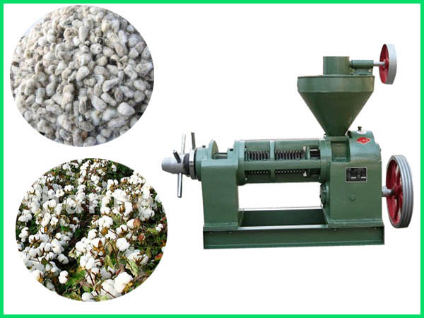 cottonseed oil press