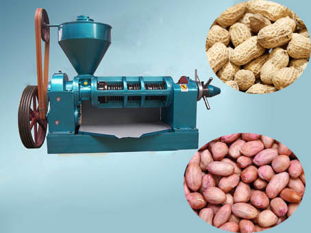 peanut oil press