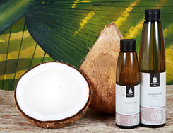 Coconut Oil Plant