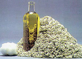 Cottonseed Oil Processing