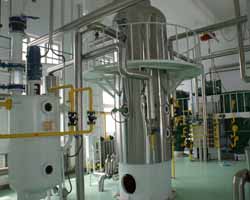 Maize Oil Processing