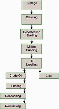 Oil Processing Process