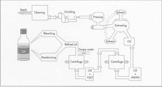 soybean oil processing