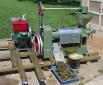 canola oil press