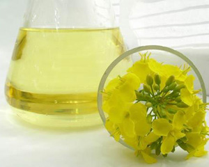  canola oil processing