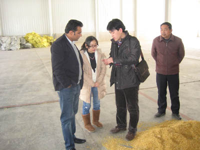 corn oil production plant