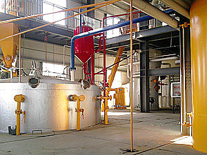 cottonseed oil extraction