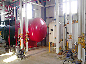 cottonseed oil extraction