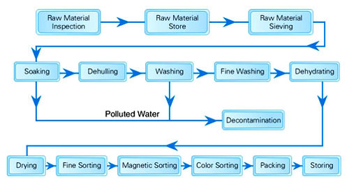 how to extract sesame oil