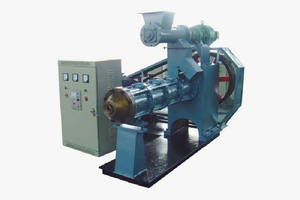 oil extruder machine