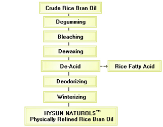 rice bran oil extraction and refining plant