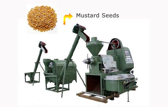 small scale mustard seed oil extraction plant