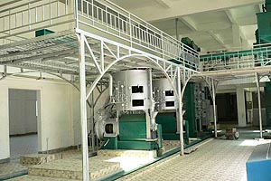 sunflower oil processing plant