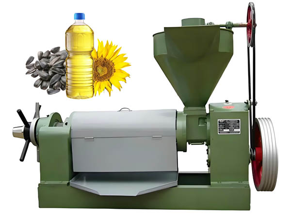 Seed Oil Press Machine