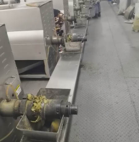 Cold Oil Press Machine - Pressing and Dehulling Sesame Seeds Cold Oil Press Machine - Pressing and Dehulling Sesame Seeds