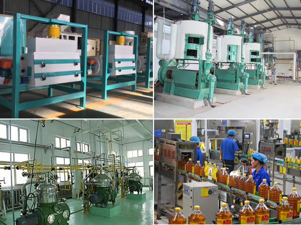Groundnut Oil Mill Plant