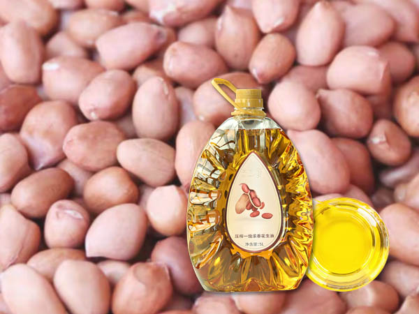Groundnut Oil Mill Plant & Extraction Machine Manufacturer | Turnkey Peanut Oil Production Line Solutions