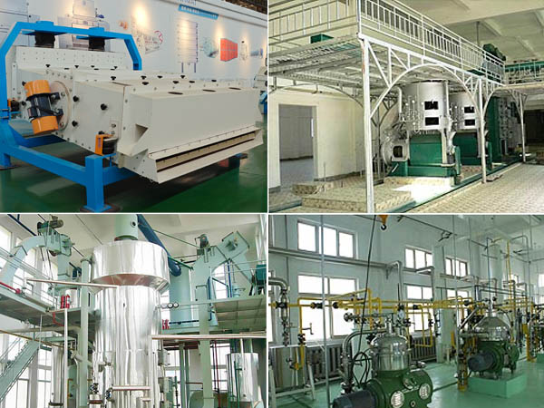 Sunflower Oil Production Line