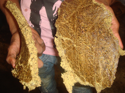 Cottonseed Cake Made by Oil Seed Extraction Machine