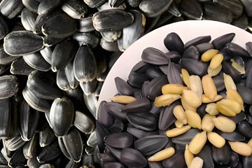 Sunflower oil processing