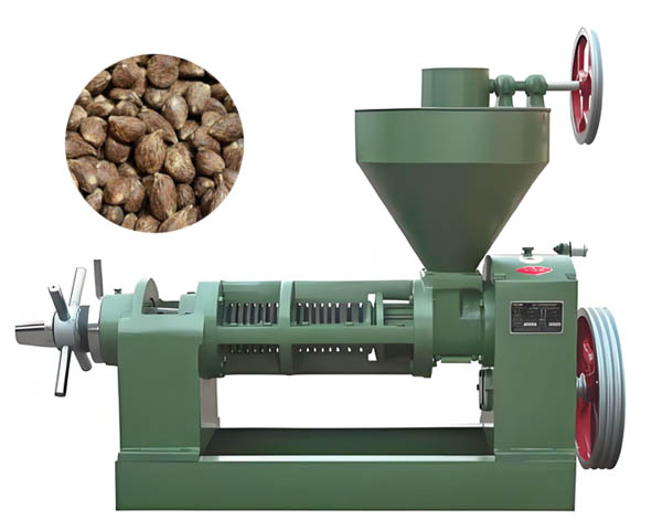Palm Kernel Expeller