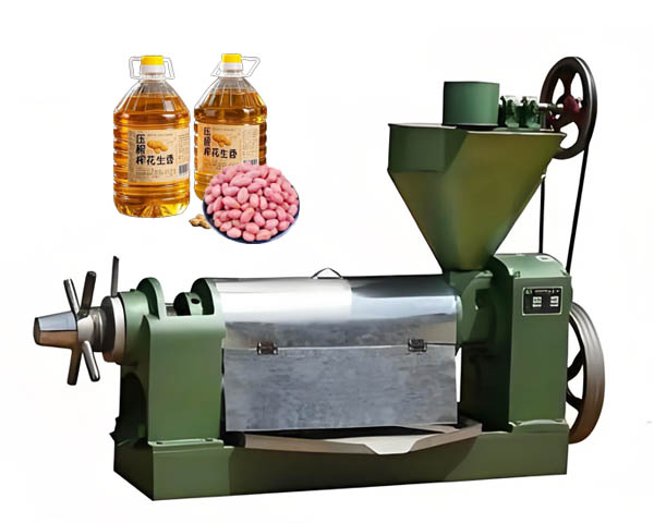 Peanut oil press