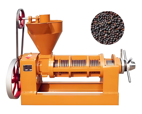 YZS 160 oil seed press