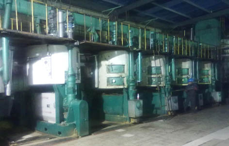 Continuous screw oil press