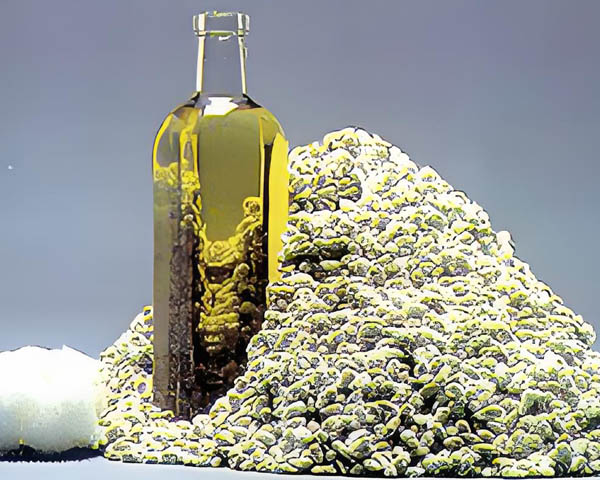 Cotton Seed Oil 
