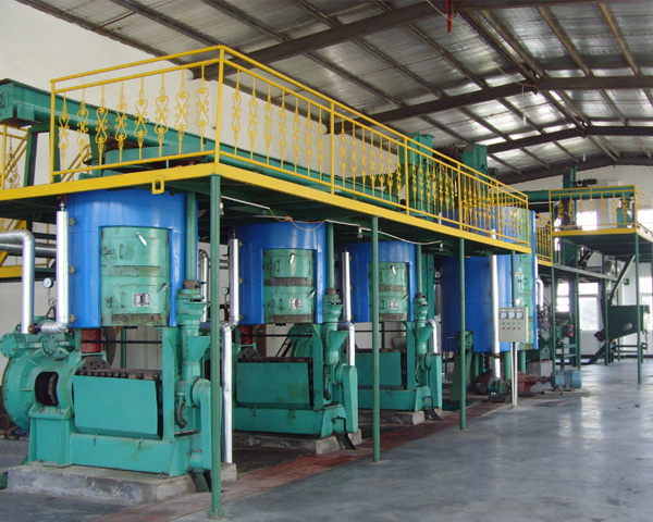 5S Peanut Oil Production Process: Pure Physical Pressing for Health and Flavor