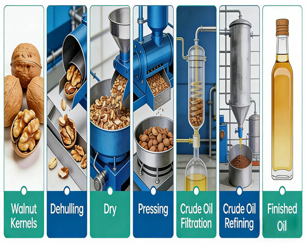 Hot Press walnut oil Process Flow