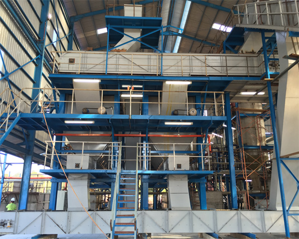 How to Build a Small-Scale Palm Oil Processing Plant: A Complete Guide from Equipment Procurement to Production