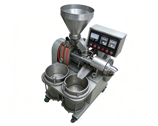Sesame Oil Extraction Process: A Complete Industrial Guide from Seed Pretreatment to Finished Oil Packaging