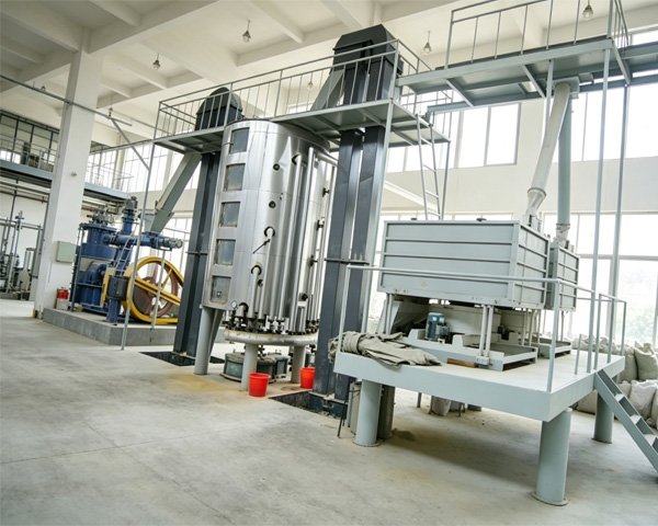 How Many Kilograms of Rice Bran to Produce One Kilogram of Rice Bran Oil? Detailed Calculation and Equipment Guide to Improve Oil Yield