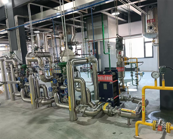 Starting an Avocado Oil Business:Critical Factors When Choosing Oil Extraction Equipment