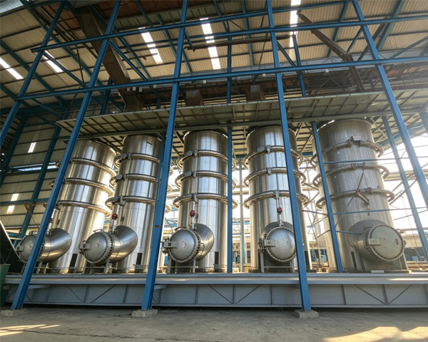 How Much Does It Cost to Start a Small Oil Pressing Plant? A Complete Investment Guide from Equipment to Workshop