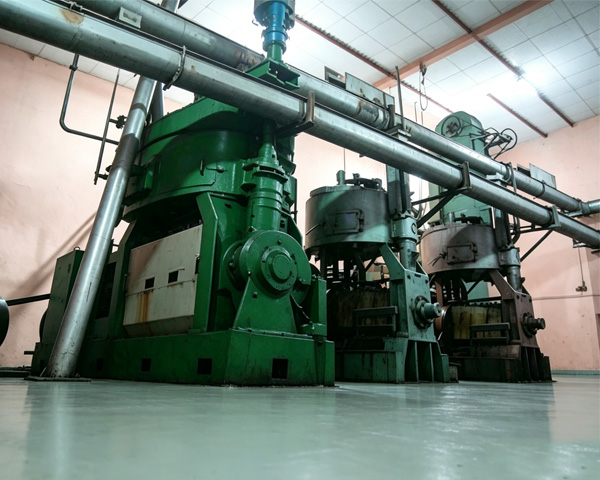 Large-Scale Oilseed Processing: How to Maximize ROI with High-Capacity Screw Presses