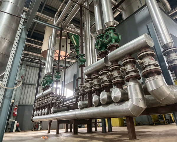 Turnkey Solutions for Edible Oil Production Lines: Fully Integrated Processes from Oilseeds to Refined Oil