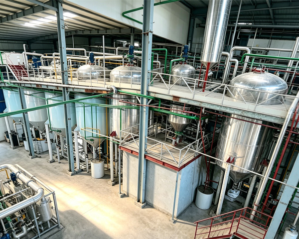 rice bran oil plant
