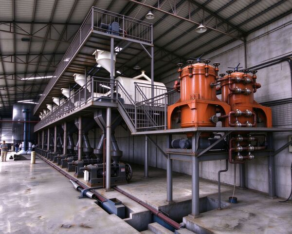 sunflower oil press